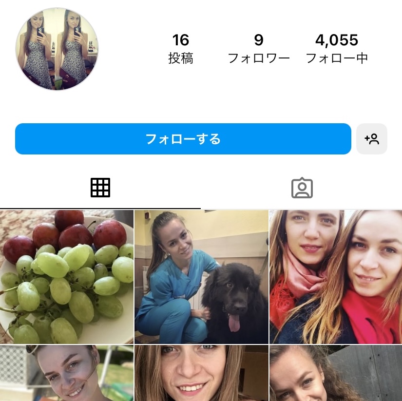 Instagram-follower